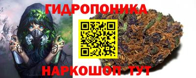 jwh Обь