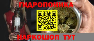 молекула духа Пугачёв