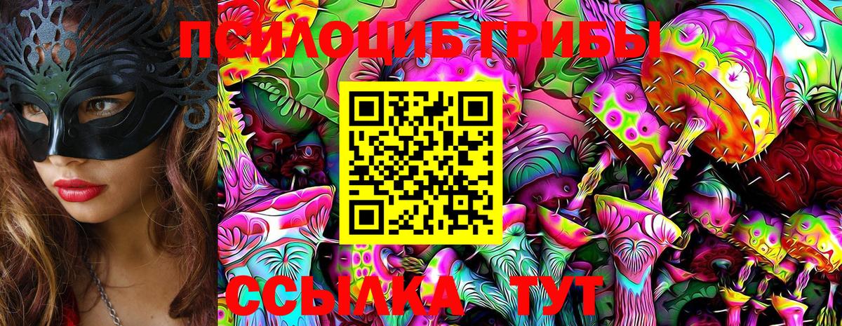 Псилоцибиновые грибы Psilocybine cubensis  Вход с VPN  Среднеуральск 